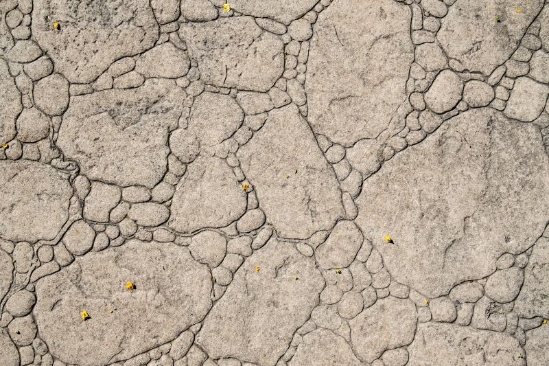 Decorative Concrete Repair in Plano, TX